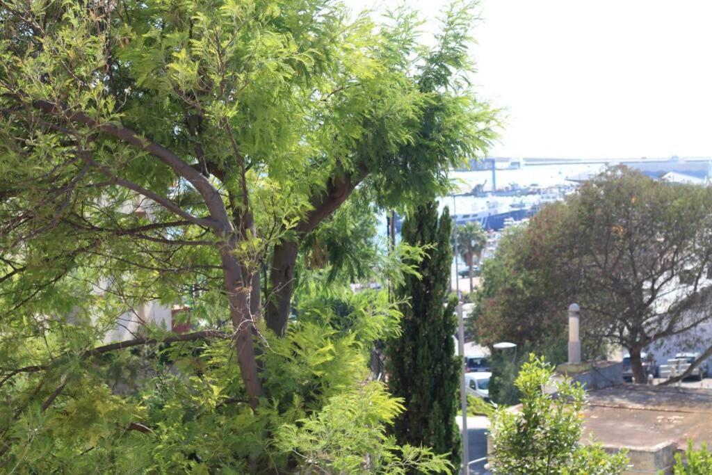 Junto Al Mar En Rosas, Puig Rom Nuevo, Wifi, Tranquilidad 아파트 외부 사진